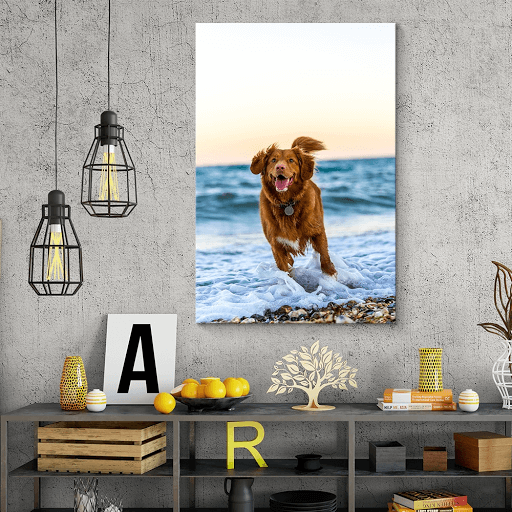 Custom canvas print of a dog- how to decorate a wall