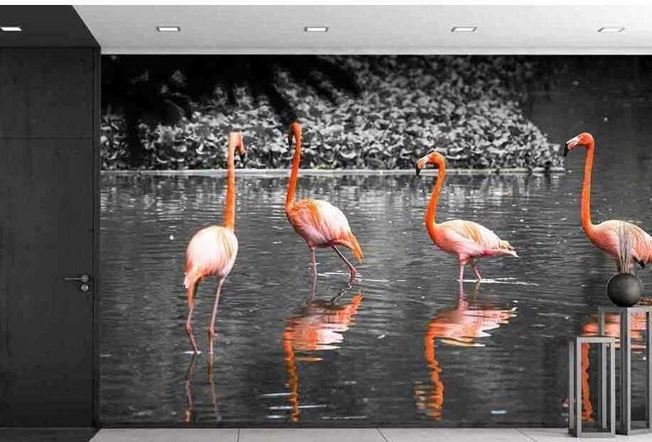 3 flamingos on a black and white background