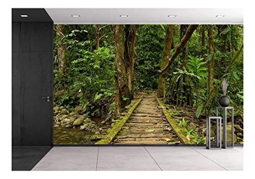Wall mural of a wooden path in the jungle