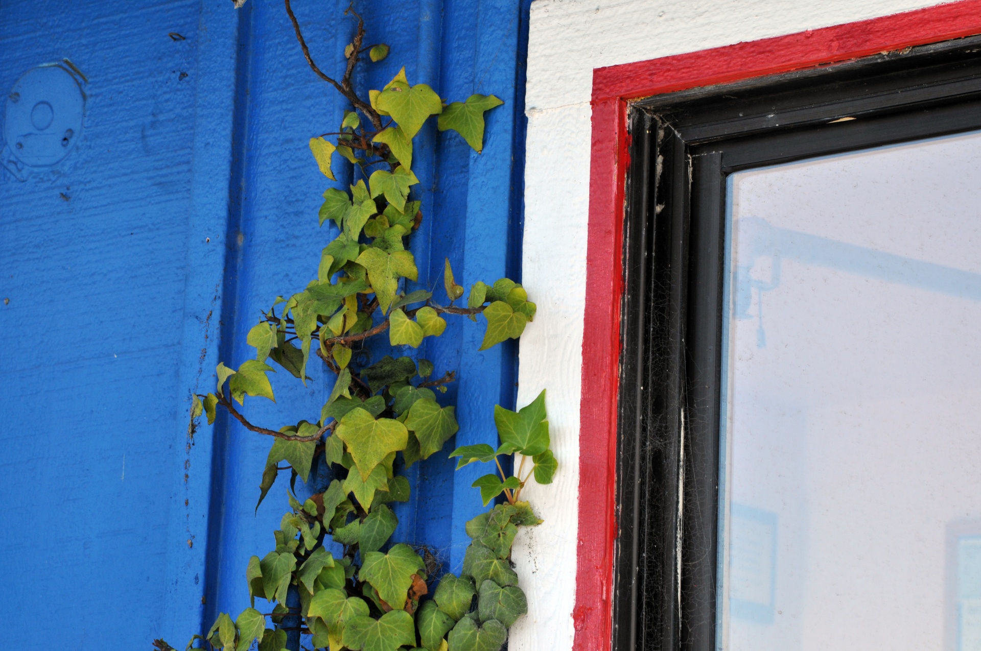 window with rubber weather sealing applied