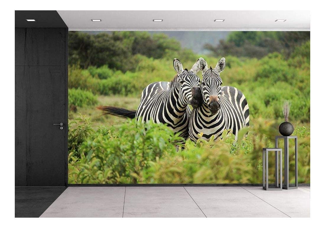 zebra room decor ideas