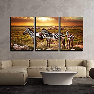 zebra room decor