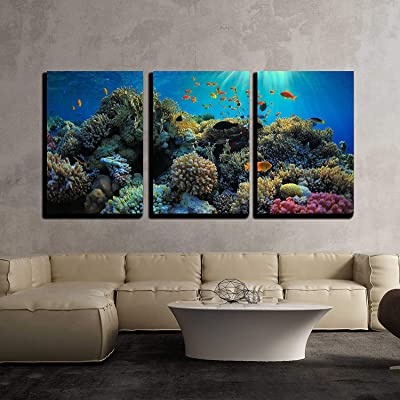 aquarium style canvas art as under the sea decorations