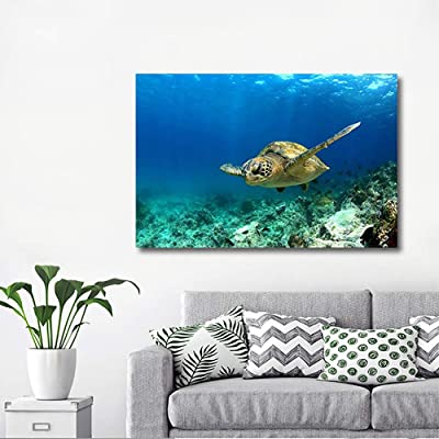 sea tutle wall picture