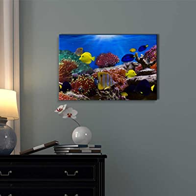 an under the sea ocean decor ideas