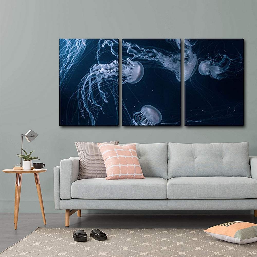 jelly fish canvas art