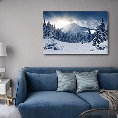 winter canvas with a matching blue couch and white carpet