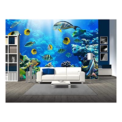 underwater fish mural for an ocean themed living room