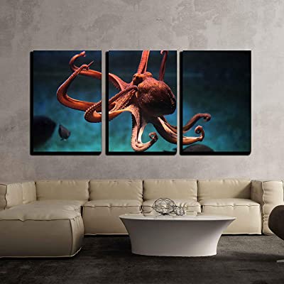 very real vivid image of an octopus in art above couch