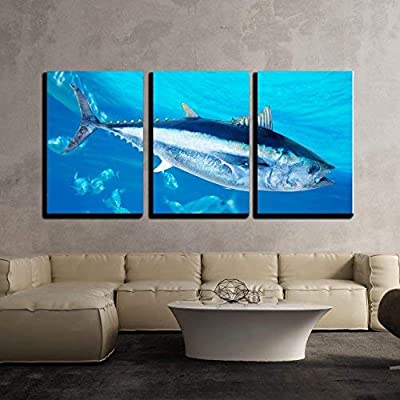 huge fish canvas art for the living room