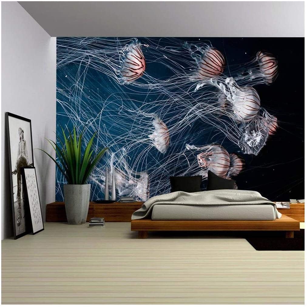 jellyfish wall mural