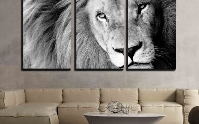 5 African Lion Home Decor Ideas You Should Know