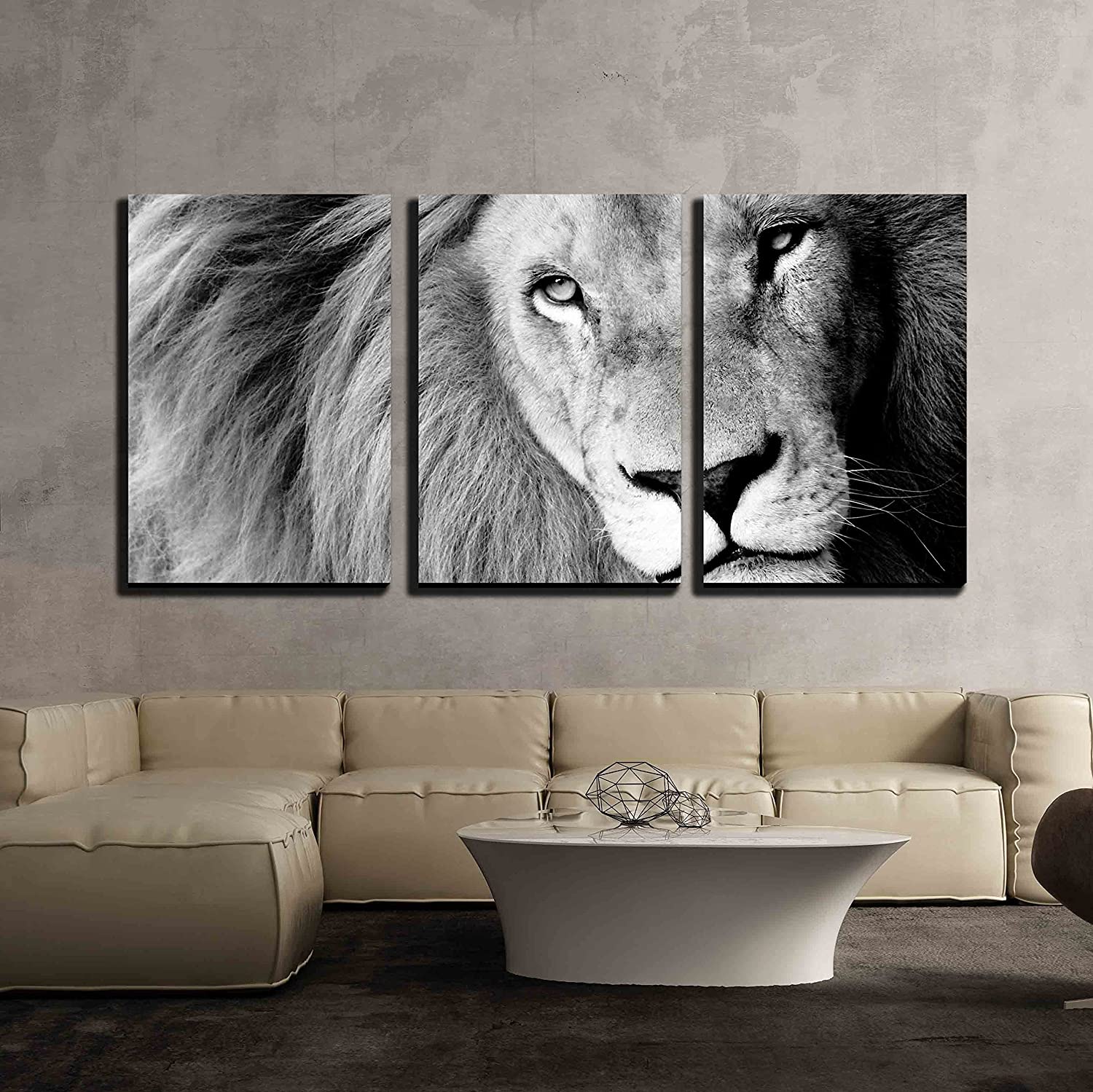 African Lion Home Decor Ideas You Should Know - Wall26