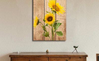 5 Cool Sunflower Wall Art Facts You Need to See!