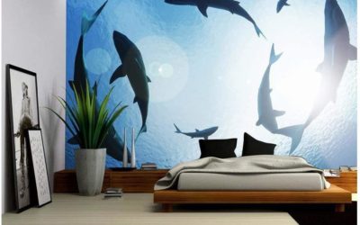 6 Shark Wall Mural Facts You Need to See!