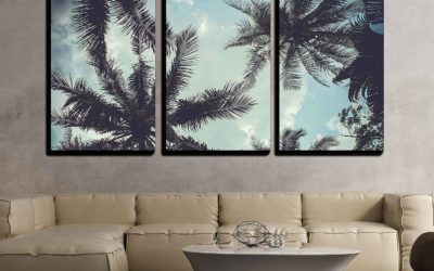 5 Coconut Wall Art Facts You Need to Know!