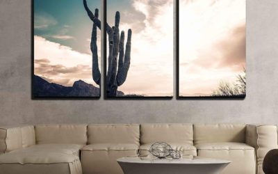 10 Cactus Themed Room Examples You Will Love!