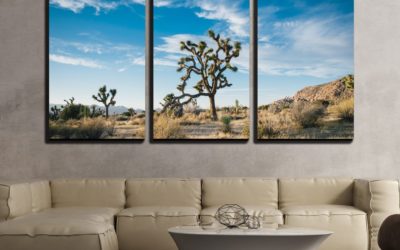 7 Desert Modern Decor Ideas That You Will Simply Love!