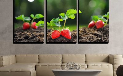5 Strawberry Wall Art Facts That Will Amaze You!