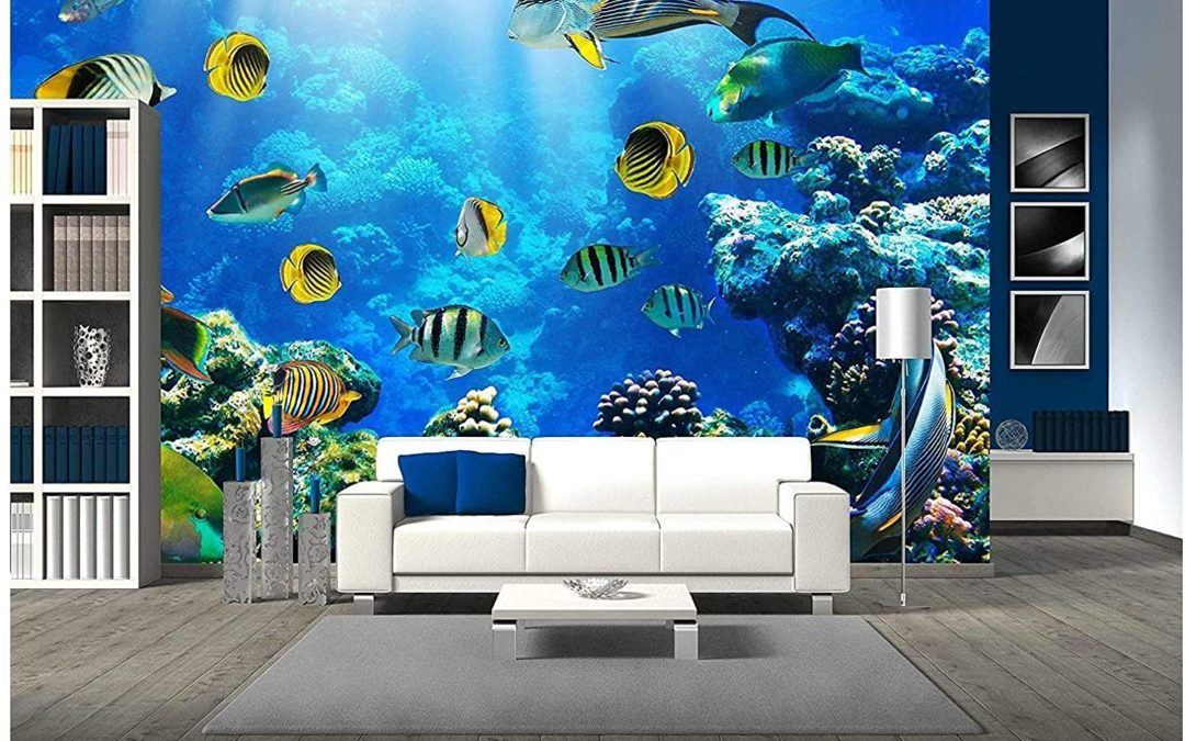 Coral Reef Wall Art Facts You Need To See to Believe!