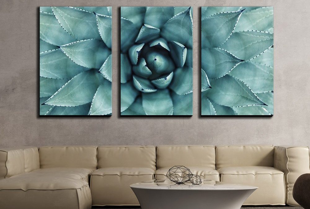Agave Succulent Wall Art Facts You Should Definitely Know!