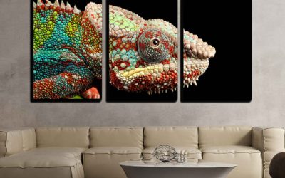 Chameleon Wall Art Facts That Will Wow You!